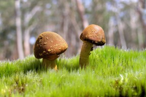 世界举重公开赛国际裁判诚信档案延展更新，世界举重比赛规则