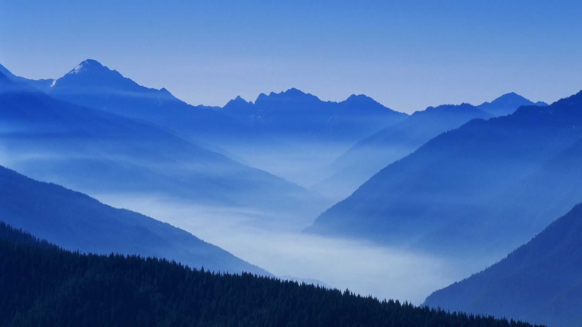 世界举重康复线上课堂专题讲座:康复器械使用规范,康复运动器材使用步骤